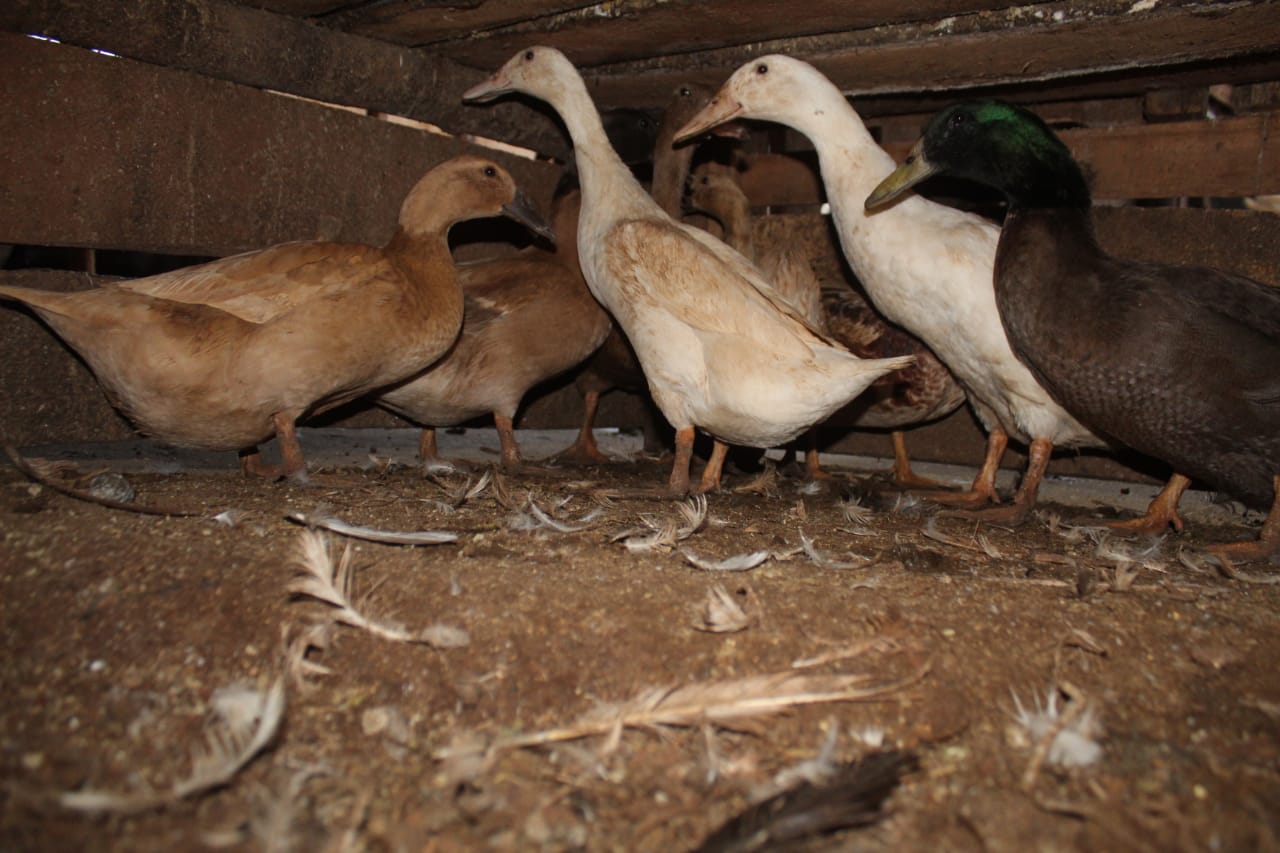 WhatsApp Image 2021-06-01 at 12.28.49