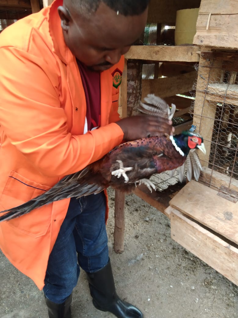 WhatsApp Image 2021-06-01 at 12.32.49 (1)