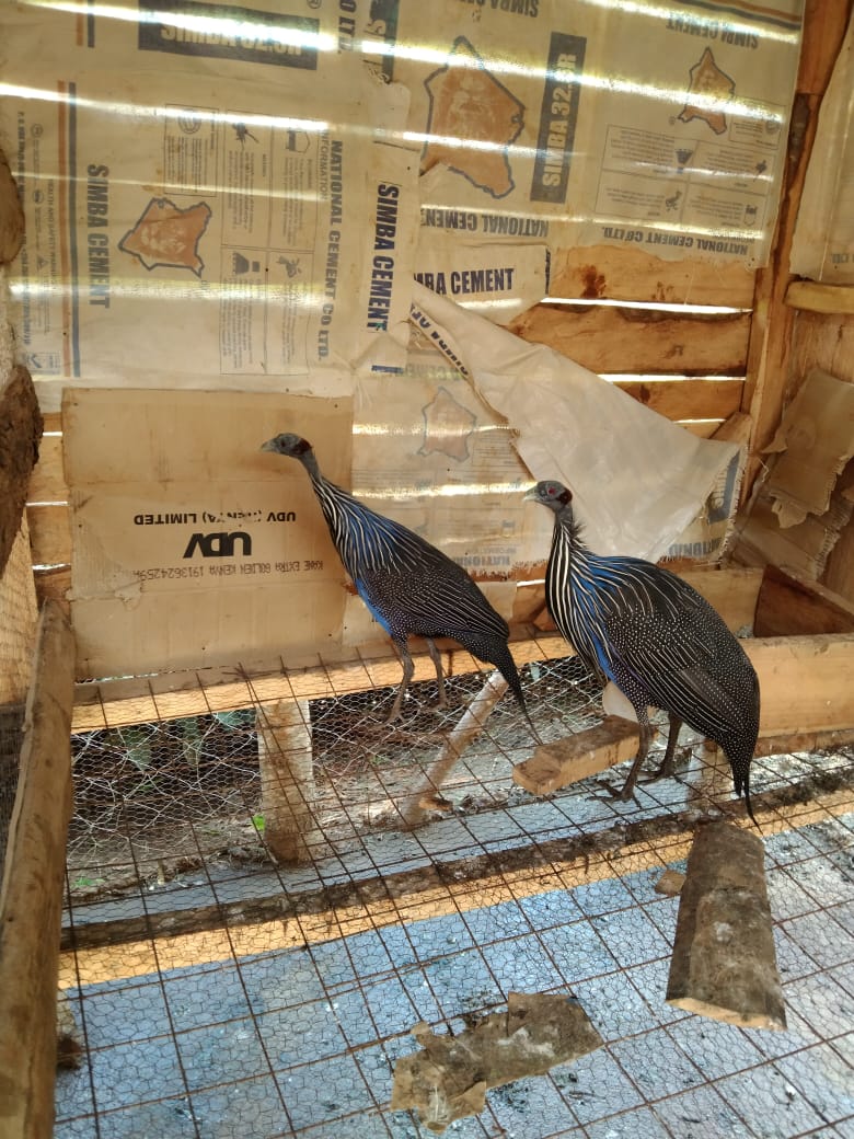 WhatsApp Image 2021-06-01 at 12.32.50 (1)