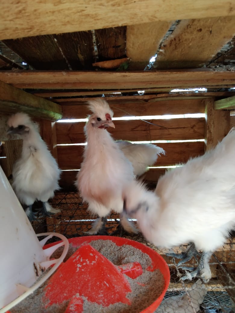 WhatsApp Image 2021-06-01 at 12.32.59