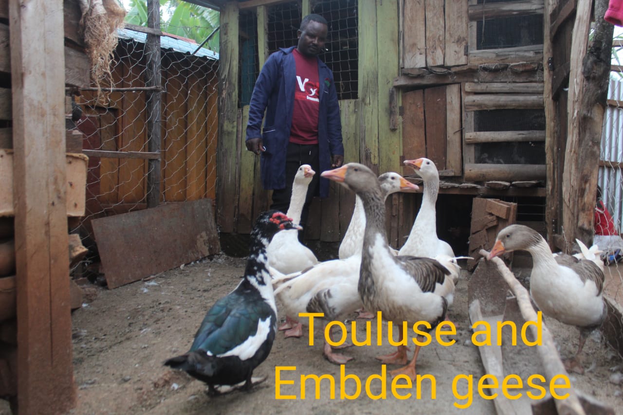 WhatsApp Image 2021-06-08 at 19.22.18 (1)