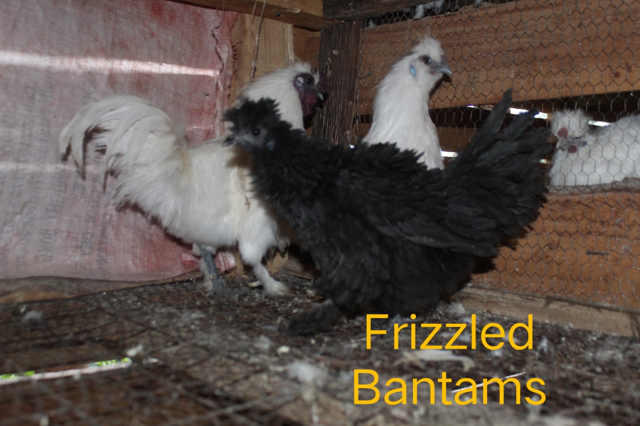 WhatsApp Image 2021-06-08 at 19.22.19 (1)