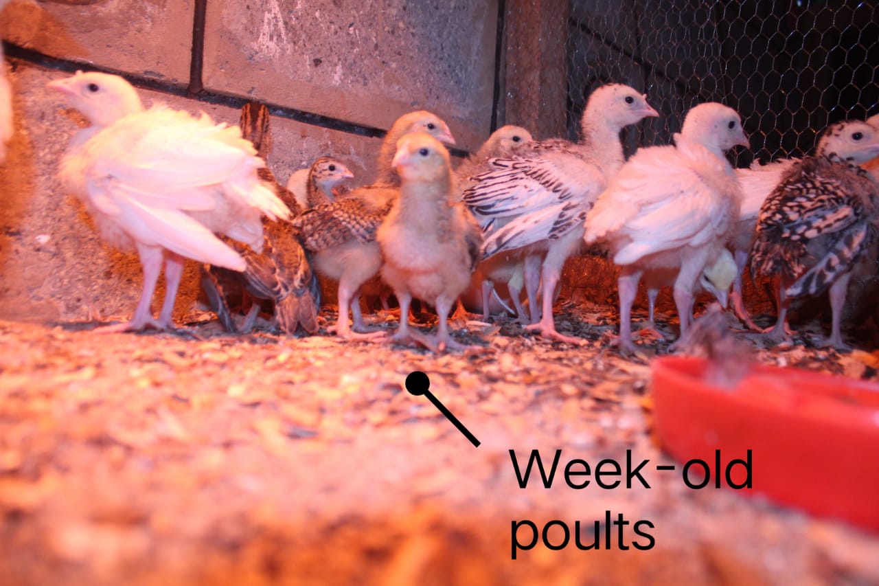 WhatsApp Image 2021-06-08 at 19.22.19 (2)