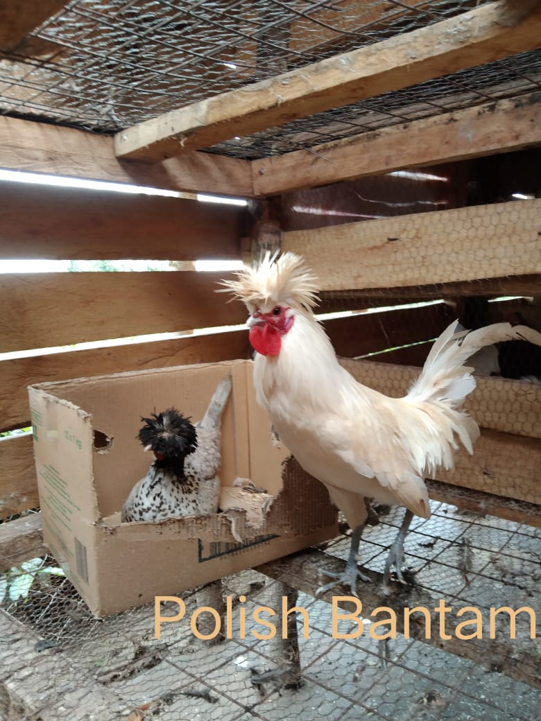 WhatsApp Image 2021-06-11 at 12.09.08 (1)