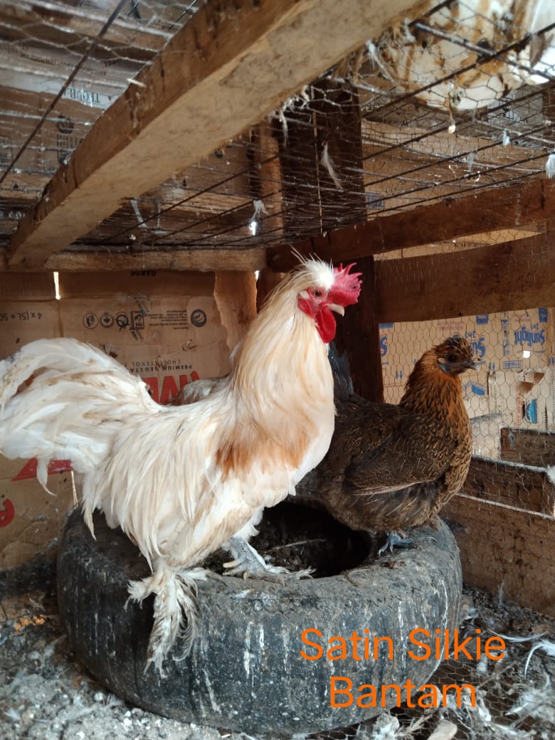 WhatsApp Image 2021-06-11 at 12.09.08 (2)