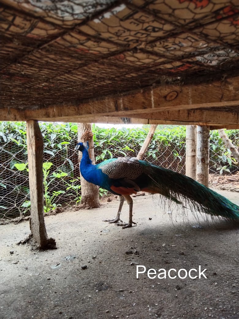 WhatsApp Image 2021-06-11 at 12.09.08