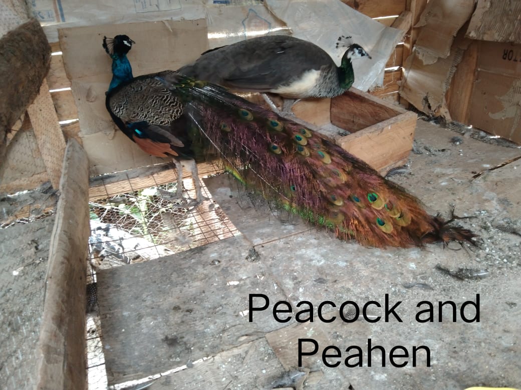 WhatsApp Image 2021-06-11 at 12.09.10