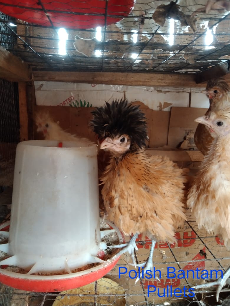 WhatsApp Image 2021-06-11 at 12.11.15